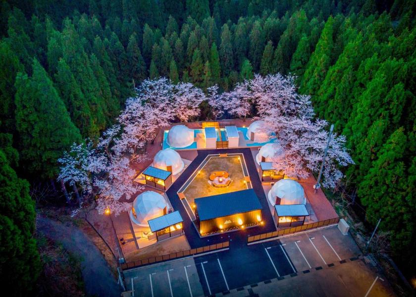 Fukui Fukui 