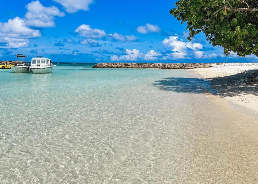 Surrounding environment