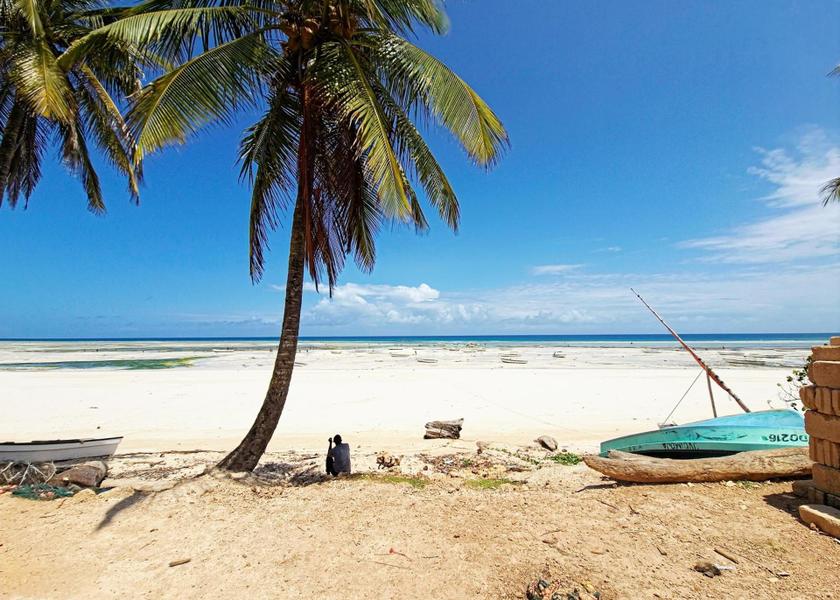 Unguja South Region Kizimkazi Beach
