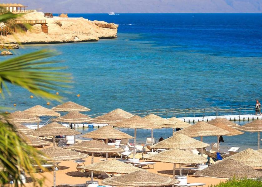 South Sinai Governorate Sharm El Sheikh 