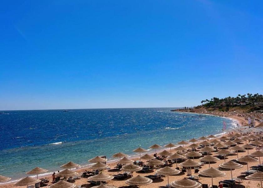South Sinai Governorate Sharm El Sheikh 