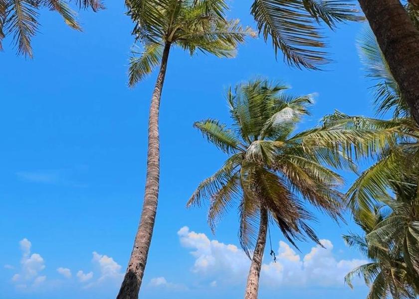 Haa Alifu Atoll Vashafaru 