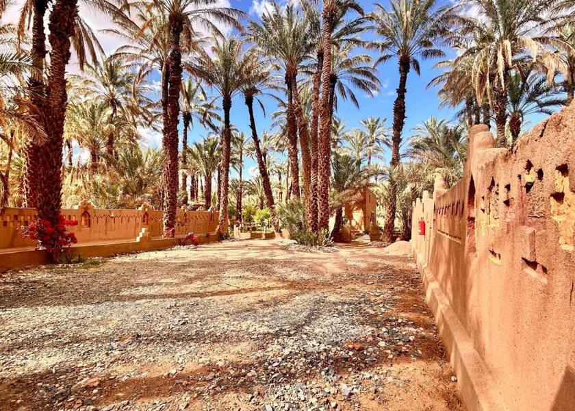 Drâa-Tafilalet Zagora Surrounding environment