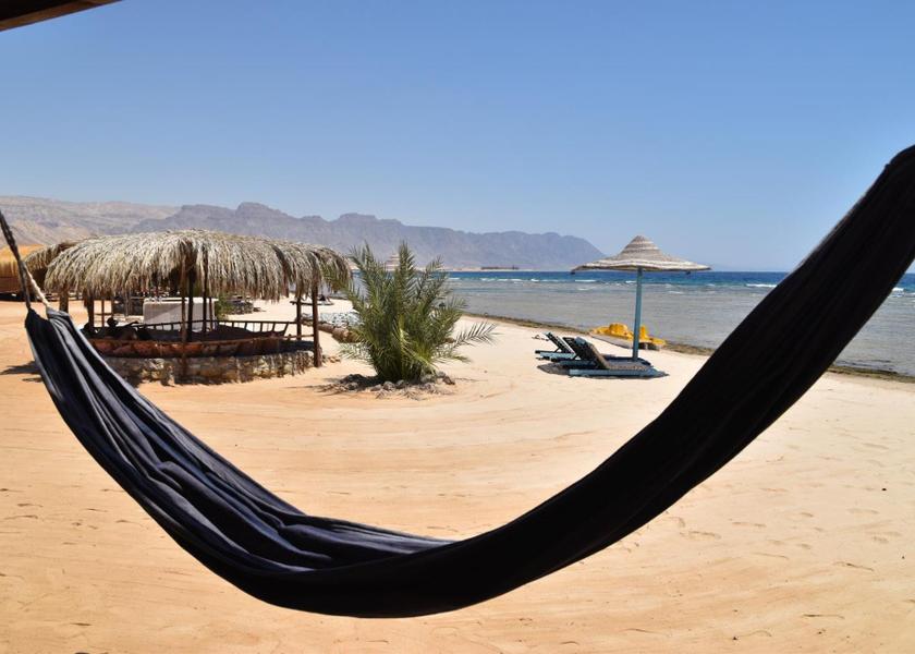 South Sinai Governorate Nuweiba 