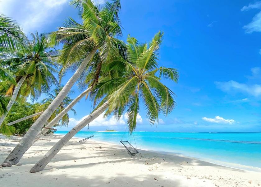 Surrounding environment