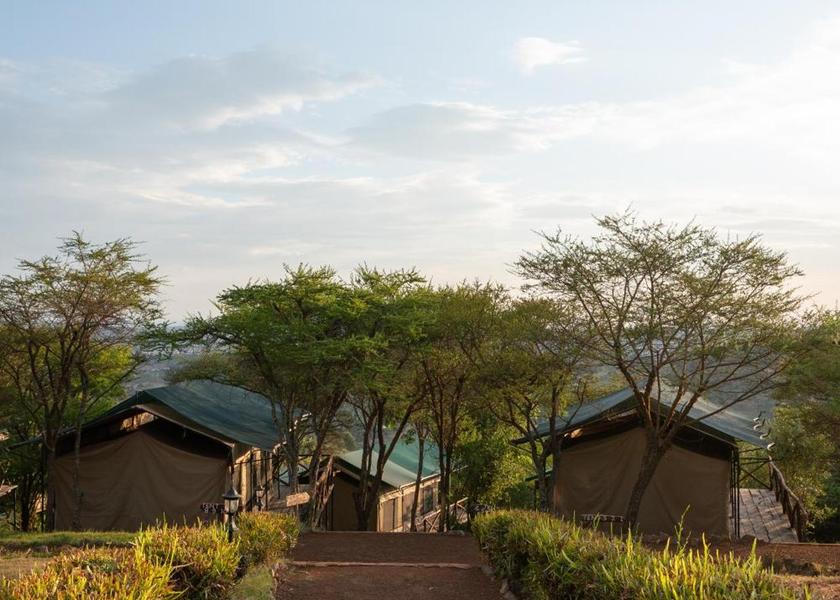 Surrounding environment