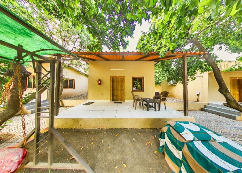 Gujarat Sasan Gir Bar