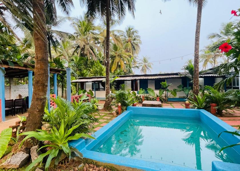 Karnataka Udupi Garden