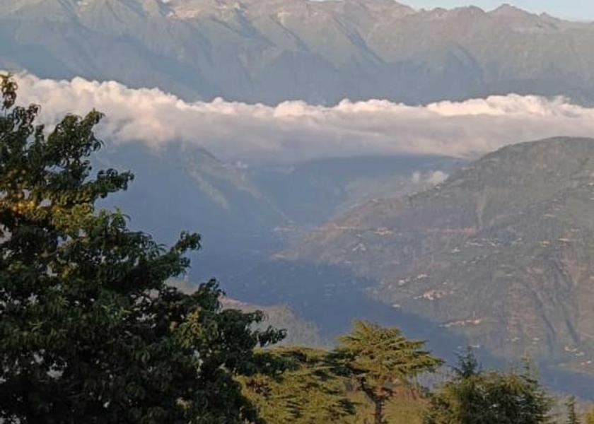 View