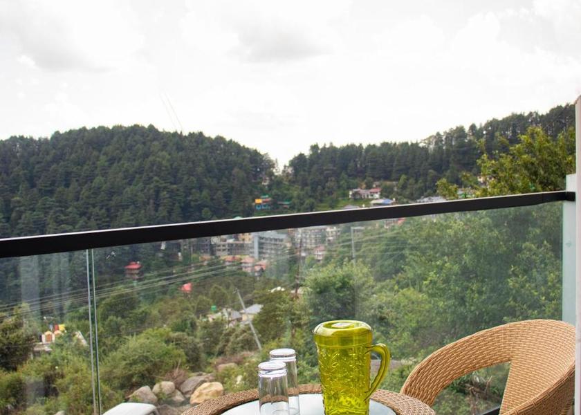 Himachal Pradesh Dharamshala Superior Room