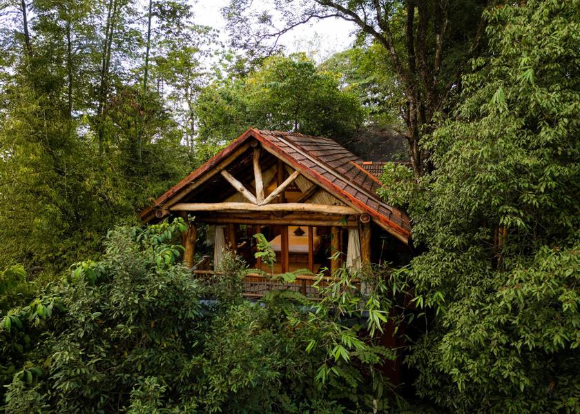 Kerala Wayanad View