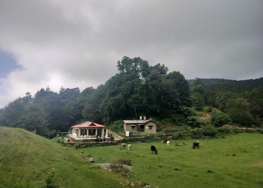 Uttarakhand Binsar Exterior