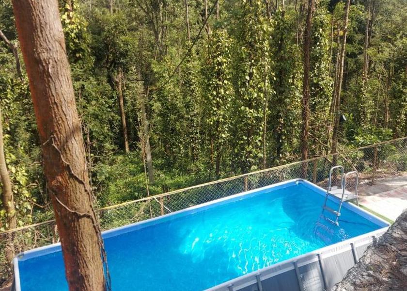 Karnataka Chikmagalur Swimming pool