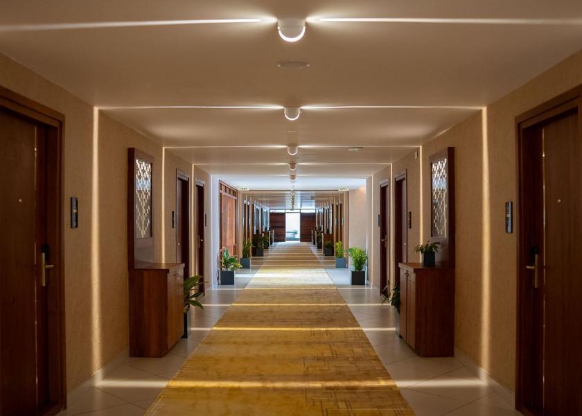 Kerala Wayanad Public areas