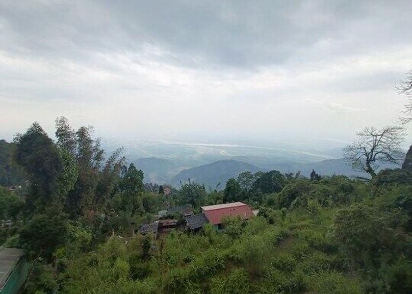 West Bengal Darjeeling Food & Dining