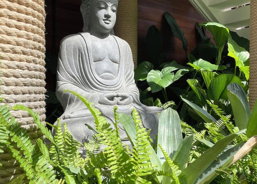 Bali Canggu Garden