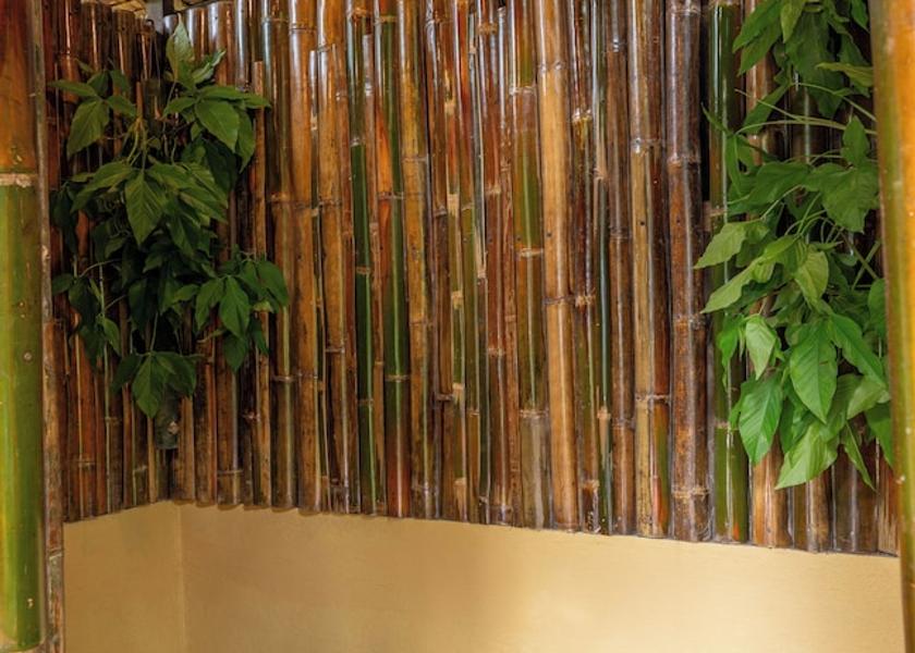 Central Visayas Loboc Bathroom