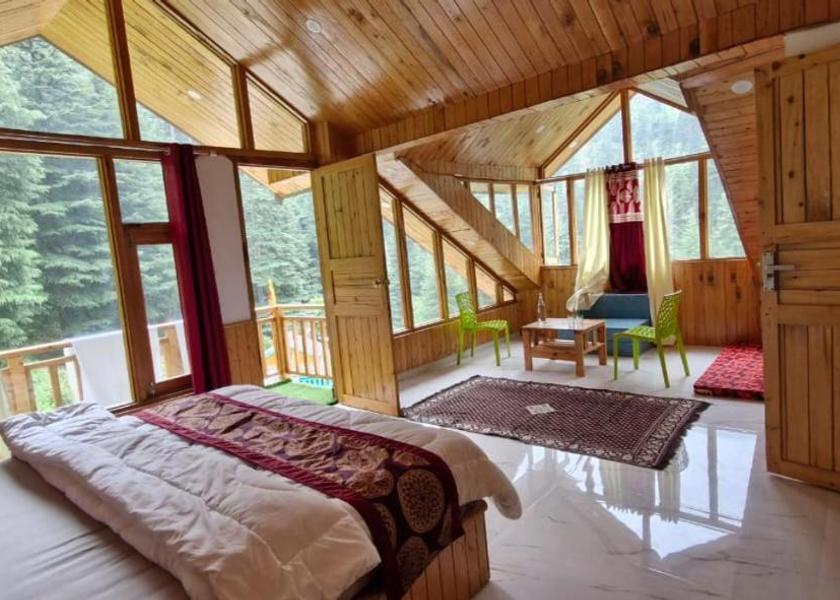 Himachal Pradesh Jibhi 1025