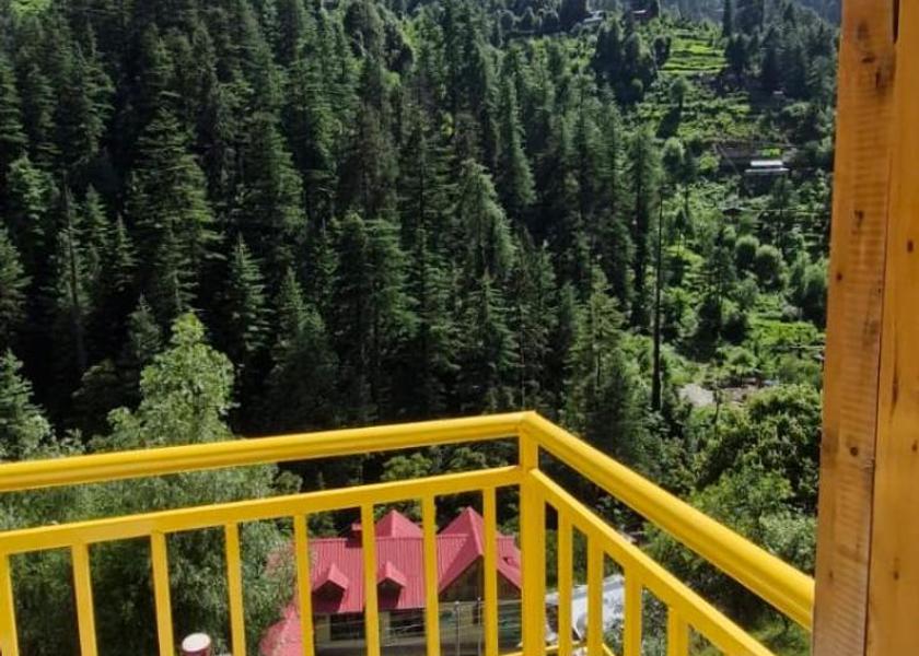 Himachal Pradesh Jibhi Surrounding environment