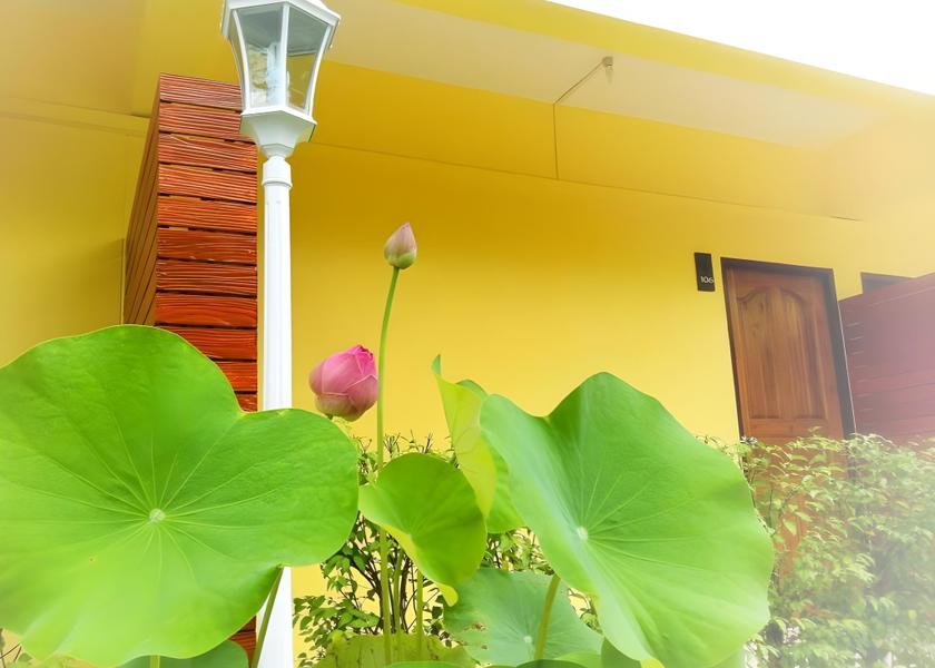 Surrounding environment