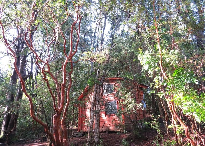 Araucanía Region Pucón Front of property