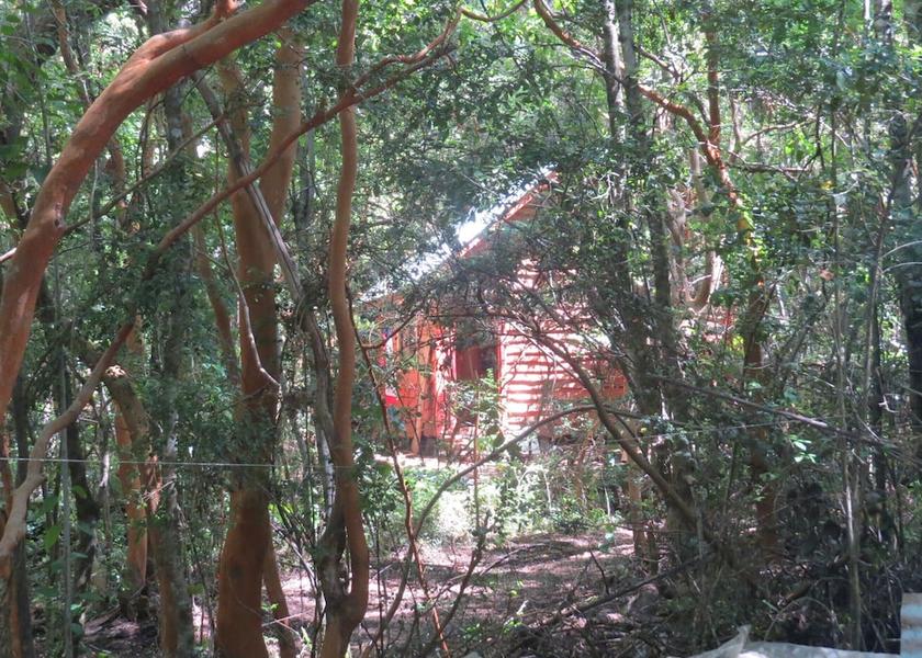 Araucanía Region Pucón Exterior