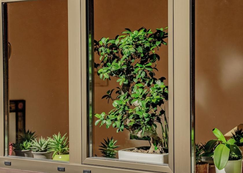 Trentino-Alto Adige Fie allo Sciliar Interior