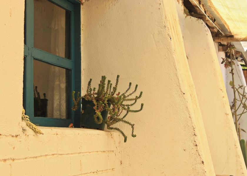 Coquimbo Region Vicuña Exterior