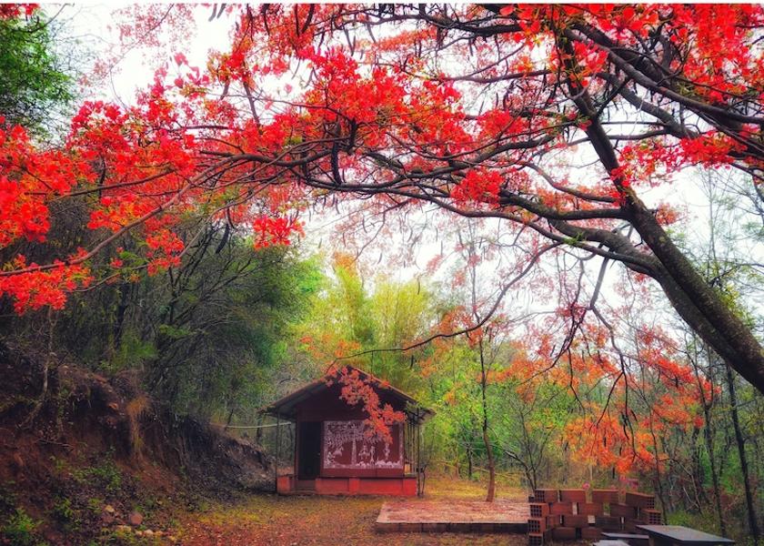 Karnataka Chikmagalur Primary image