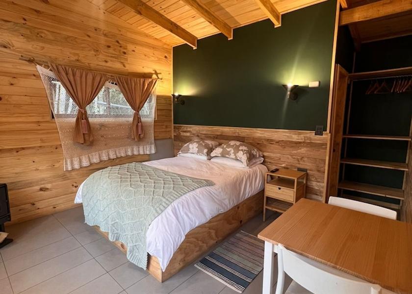 Araucanía Region Pucón Room