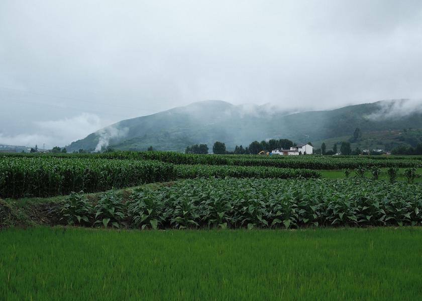 Yunnan Dali Land view from property