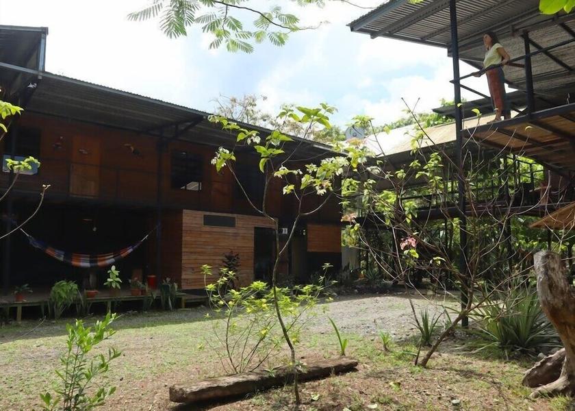 Puntarenas Province Puerto Jiménez Exterior