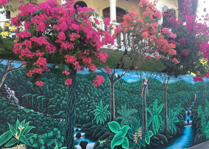 Puntarenas Province Ciudad Cortés Garden