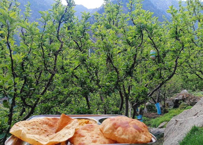 Uttarakhand Uttarkashi Breakfast meal