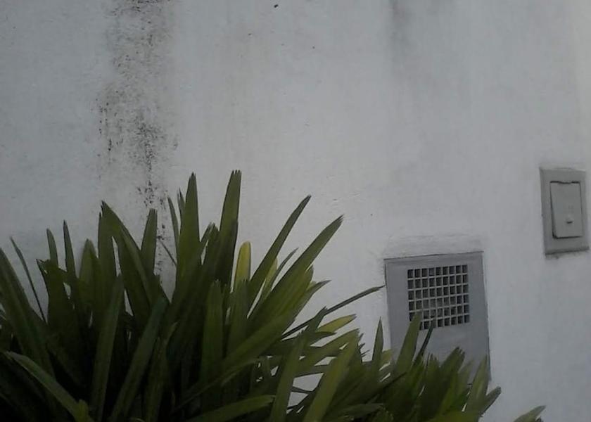 São Paulo State Ribeirão Preto Front of property
