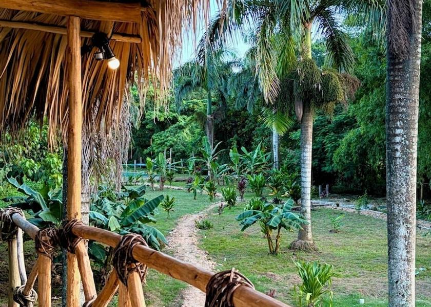 Samaná Samaná Balcony view