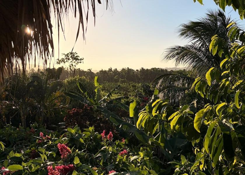 Samaná Samaná Garden