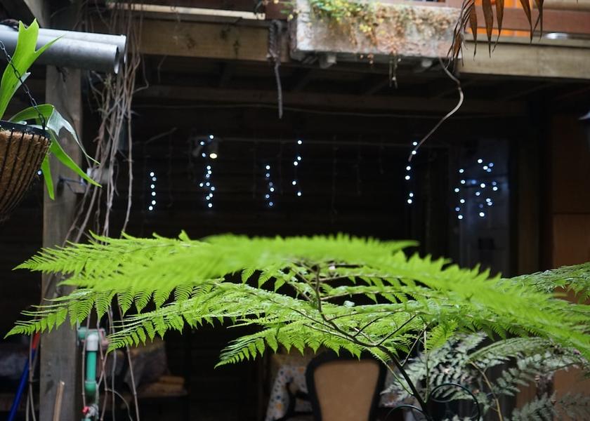 Biobío Concepción Terrace/patio