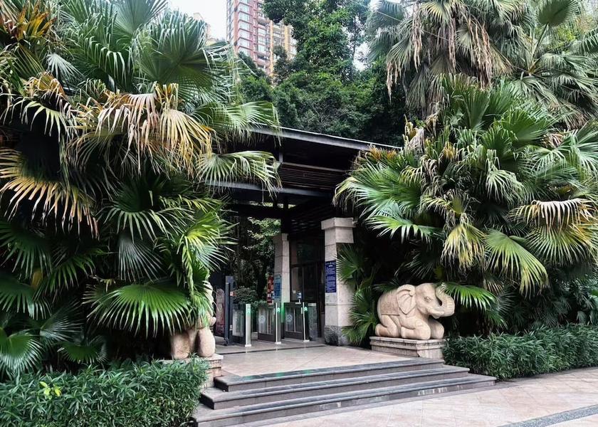 Chongqing Chongqing Exterior