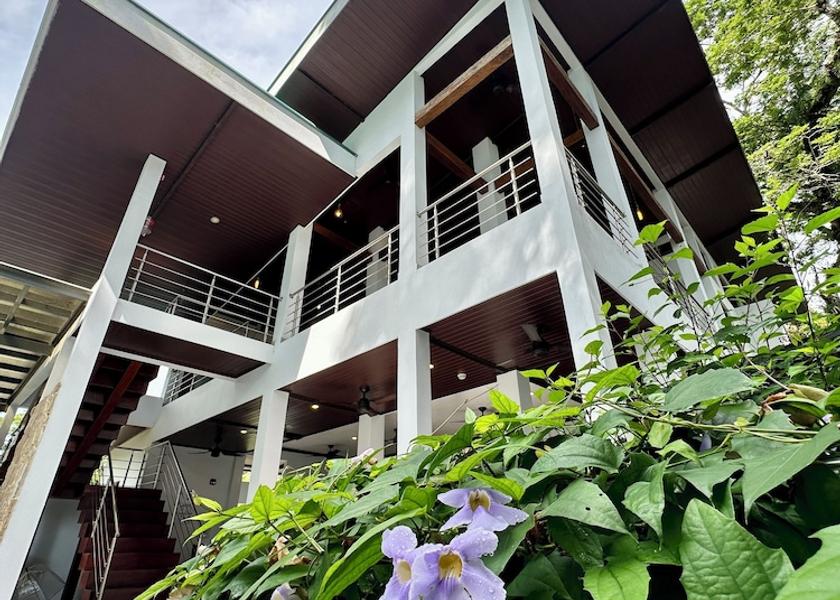 Puntarenas Province Puerto Jiménez Exterior