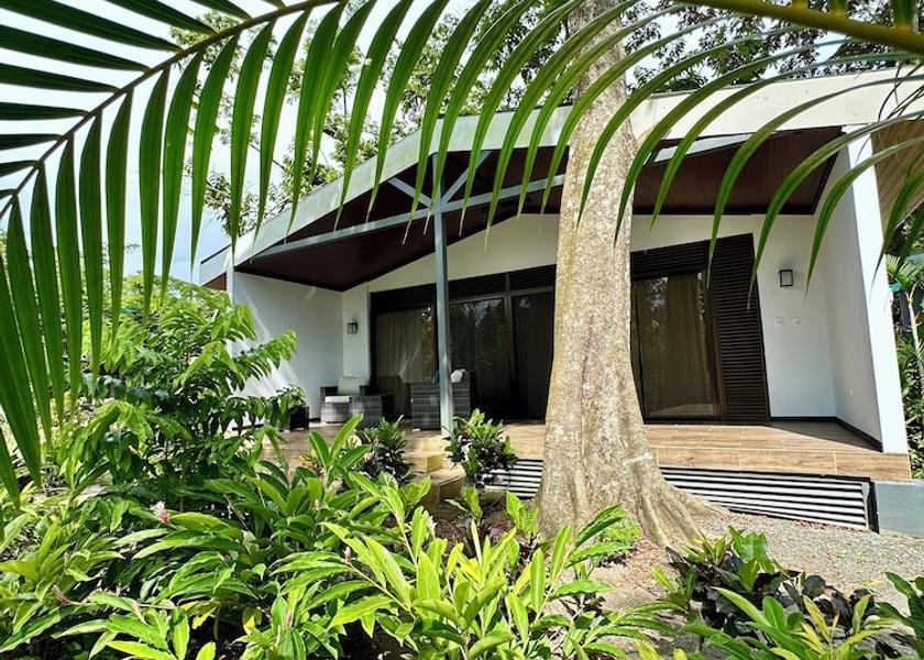 Puntarenas Province Puerto Jiménez Exterior