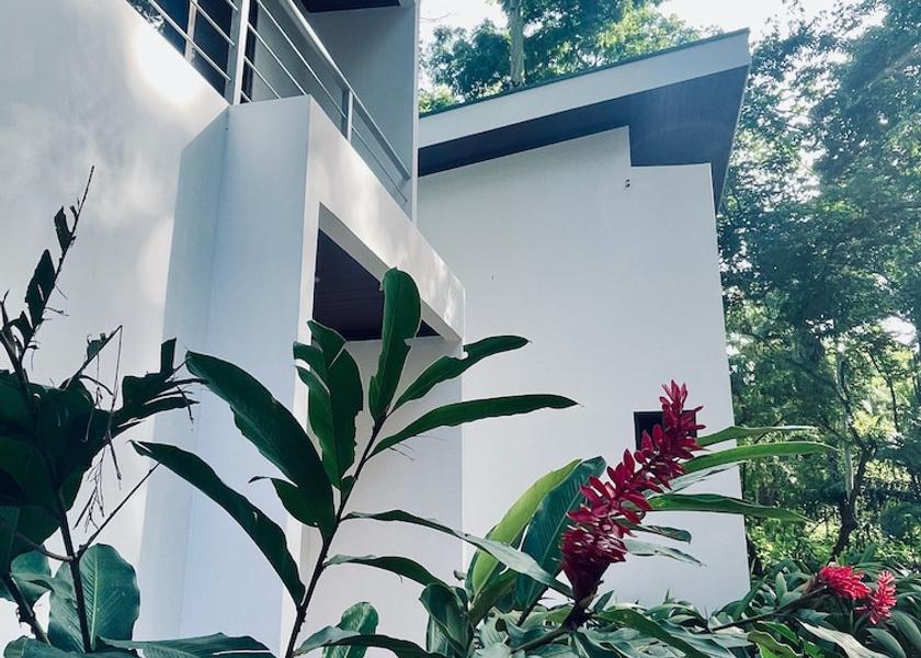 Puntarenas Province Puerto Jiménez Exterior