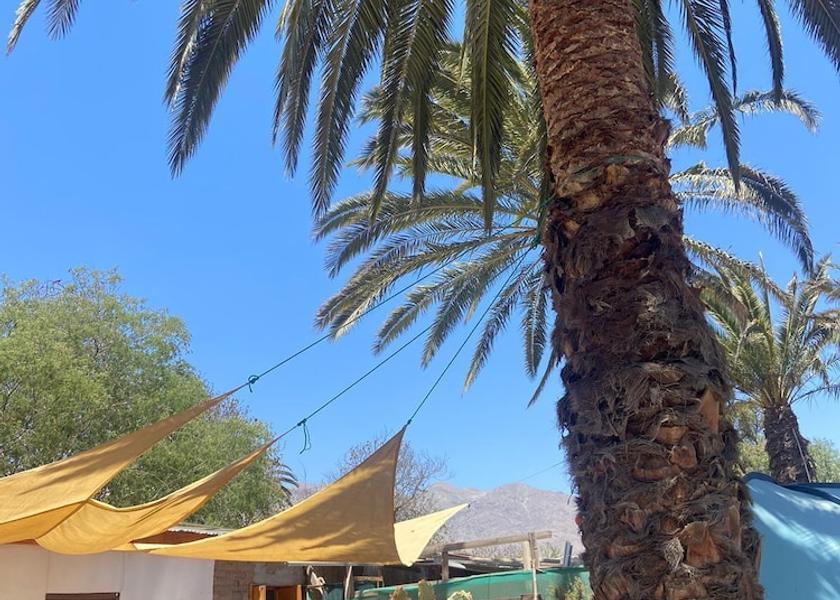 Coquimbo Region Monte Patria Exterior