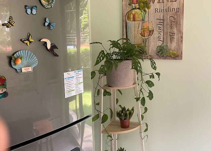 Puntarenas Province Tárcoles Interior