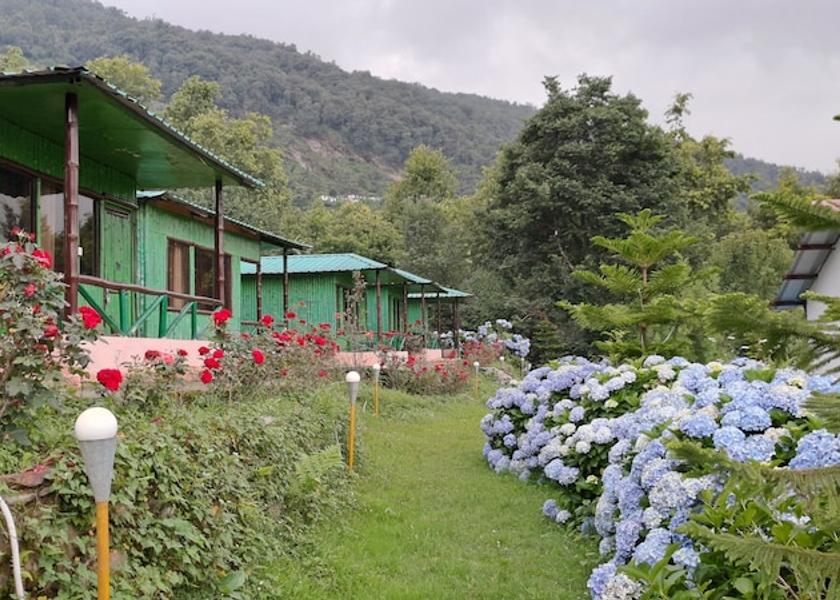 Uttarakhand Guptkashi Garden