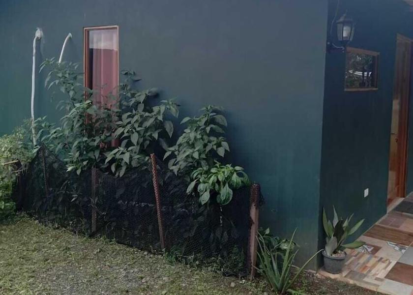 Puntarenas Province Puerto Jiménez Exterior