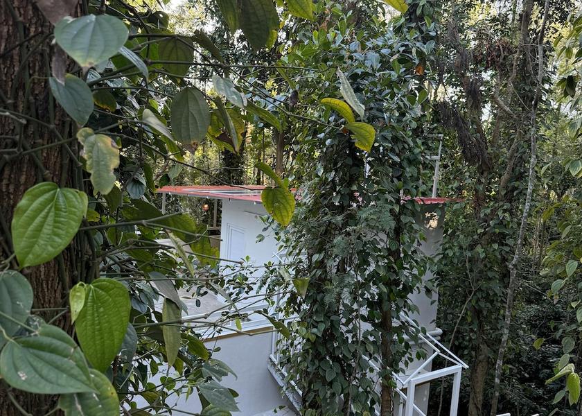 Tamil Nadu Yercaud Exterior