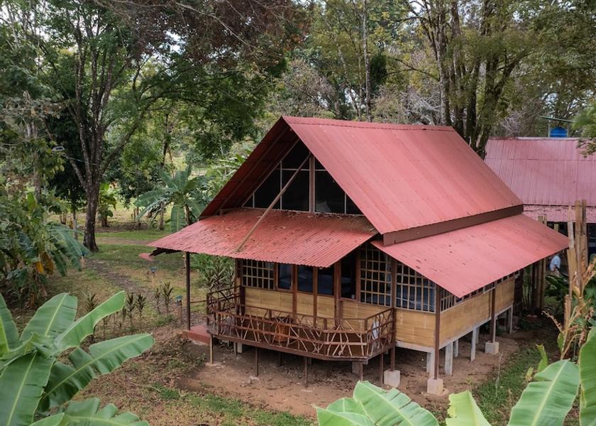 Puntarenas Province Puerto Jiménez Front of property