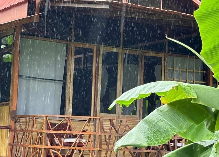 Puntarenas Province Puerto Jiménez Front of property