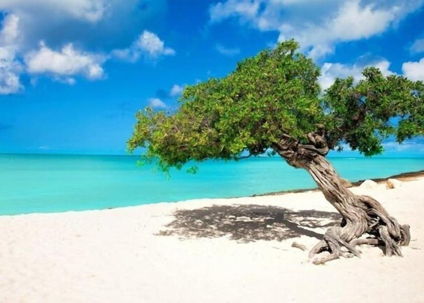  Oranjestad Point of interest